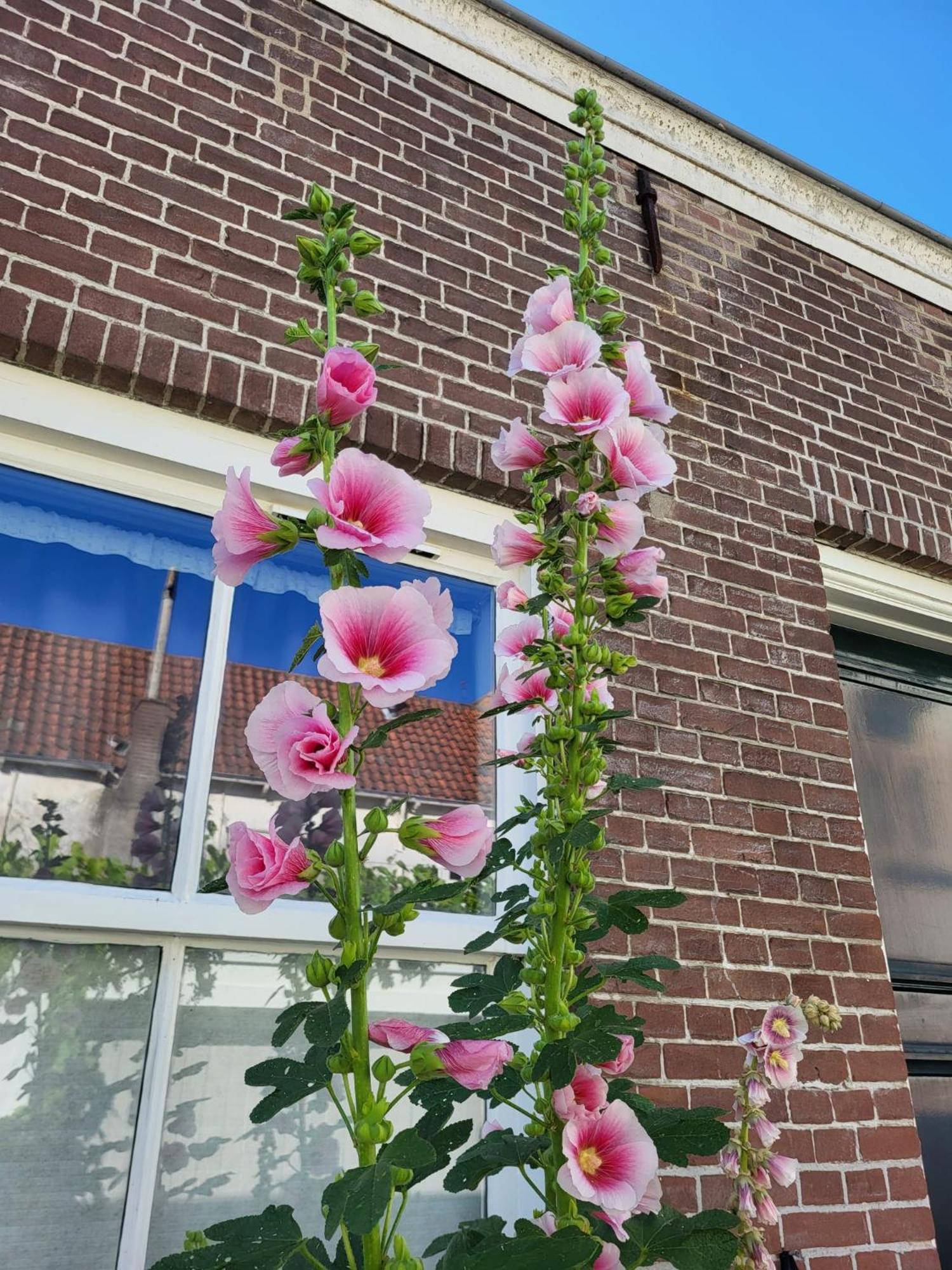 Apartment Slapen Bij Van-v Zierikzee